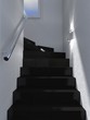black stairs interior