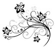 Blume, Blüte, Ranke, schwarz, grau