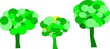 arbre