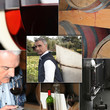 wine industry process
