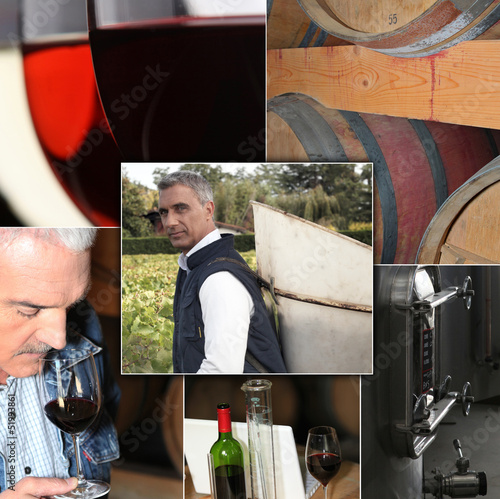 Photo: wine industry process wine industry process