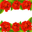 Valentine`s day card with red roses