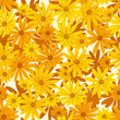 Vector: Seamless background with orange and yellow flowers. Vector. Seamless background with orange and yellow flowers. Vector.