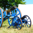 Cannon from napoleonic war times. Operational reproduction