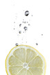 citrus disk with bubbles on white