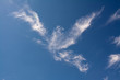 bird shaped cirrus