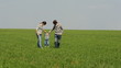 Video: mom, dad and little son walking on grass mom, dad and little son walking on grass