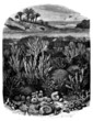 Prehistory : Coral Reefs - Recifs Coralliens