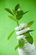 Environmental Conservation