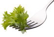 Fresh lettuce salad  on fork isolated on white background cutout