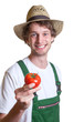 Freundlicher Gärtner zeigt seine Tomate