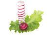 Comic salad with radishes macro