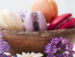 Colorful Macaroons