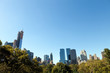 Central Park New York Skyline