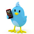 Little bird with smartphone
