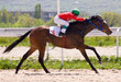 Horse racing