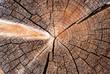 wood texture