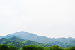 山
