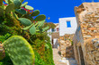 Greece Syros island view of main capitol at summer time, Syros i
