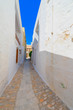 Greece Syros island view of main capitol at summer time, Syros i