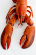 Lobster