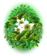 Tropical Wild Nature Vegetation-Natura Foresta Tropicale