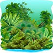 Jungle Tropical Rain Forest-Giungla-Foresta Tropicale-Vector