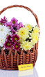 Bouquet of beautiful chrysanthemums in wicker basket isolated