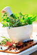 Fresh herbs in the mortar - healthy food