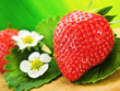 Foto: Erdbeeren Erdbeeren