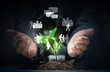 social network theme