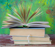 open book, on green painted background