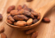 Photo: cocoa beans cocoa beans
