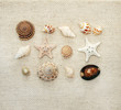 Foto: Starfishes and conches on canvas texture Starfishes and conches on canvas texture