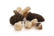 Champignons