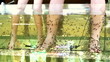 Peeling skin feet of tropical fish in the water