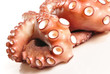 Photo: Primer plano sobre pulpo. Primer plano sobre pulpo.