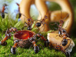Foto: banquet in anthill with honey and cake, ant tales banquet in anthill with honey and cake, ant tales