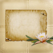 Vintage postcard for invitation with bunch of water lily