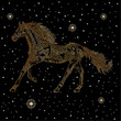 Horse of the stars