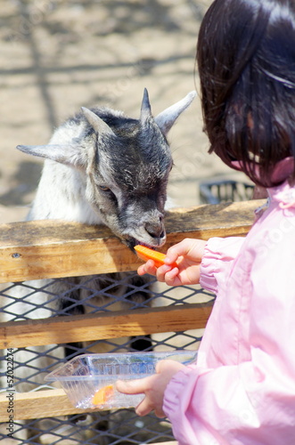 Photo: 餌やり 餌やり