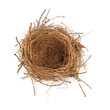 Empty Nest