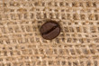 Photo: Coffee bean Coffee bean