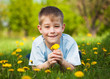 boy with dandelions in a green park. summer