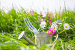 blumen im garten