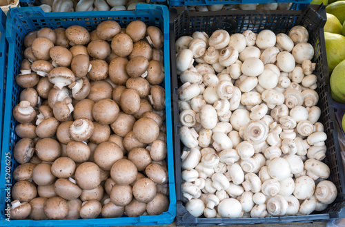 Photo: Brown and white champignons Brown and white champignons