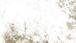 Sepia Grunge Texture