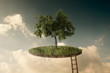 Suspended land