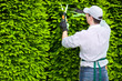 Gardener at work