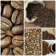 Coffee beans
